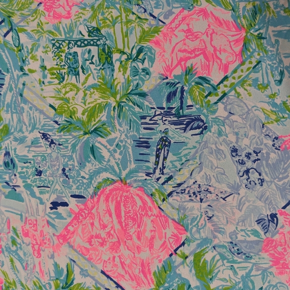 EUC! Lilly Pulitzer Lileeze Florin Reversible V Neck Top Bohemian Queen Size XS - Picture 10 of 12